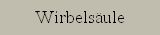 Wirbels�ule